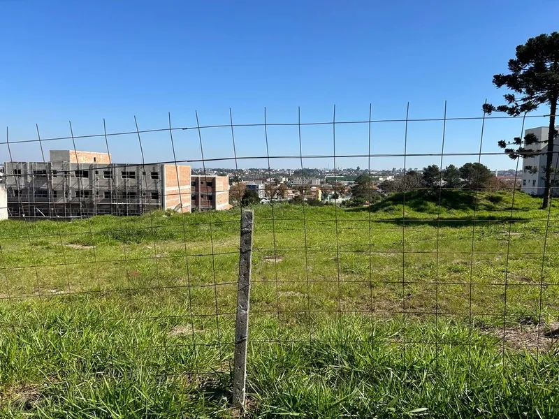 Lote de Terreno com 6.000m² ideal para construção de Apartamentos: 2ª foto da galeria de imagens do imóvel