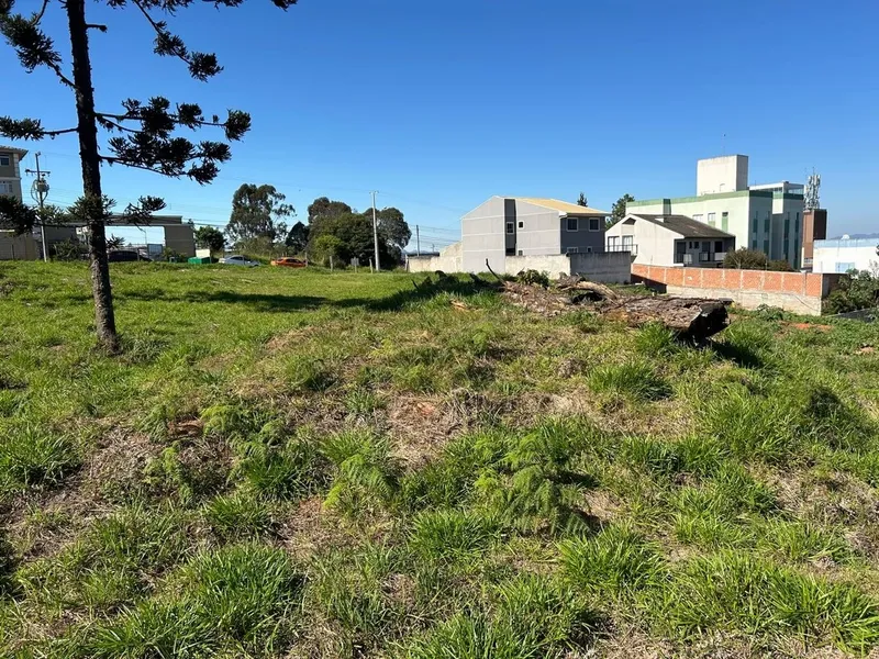 Lote de Terreno com 6.000m² ideal para construção de Apartamentos: 13ª foto da galeria de imagens do imóvel