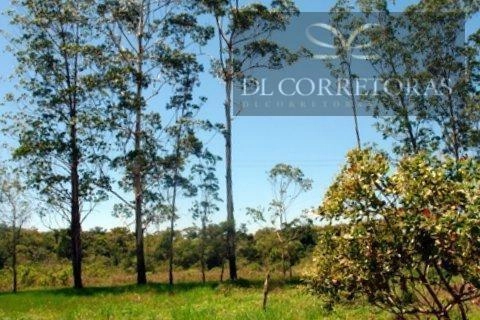 null: 14ª foto da galeria de imagens do imóvel