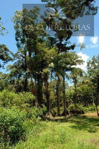 null: 15ª foto da galeria de imagens do imóvel