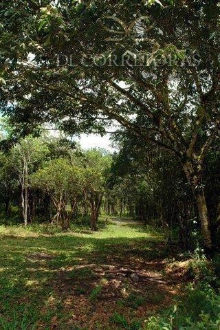 null: 5ª foto da galeria de imagens do imóvel