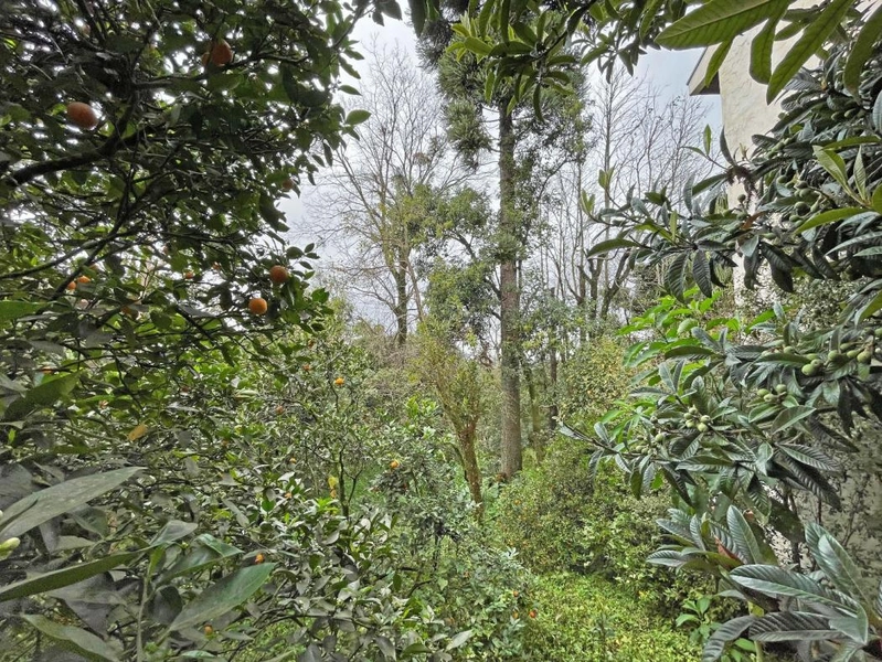 null: 18ª foto da galeria de imagens do imóvel