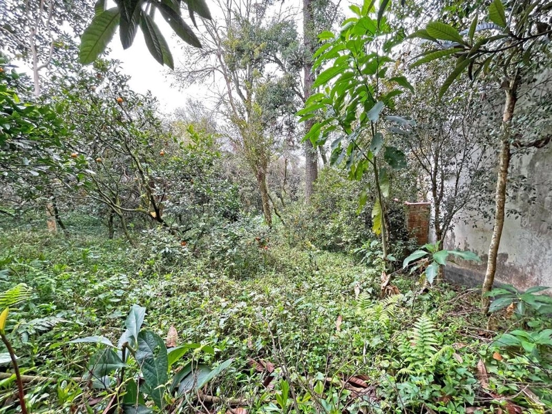 null: 22ª foto da galeria de imagens do imóvel