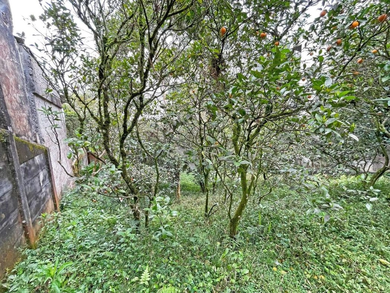 null: 3ª foto da galeria de imagens do imóvel