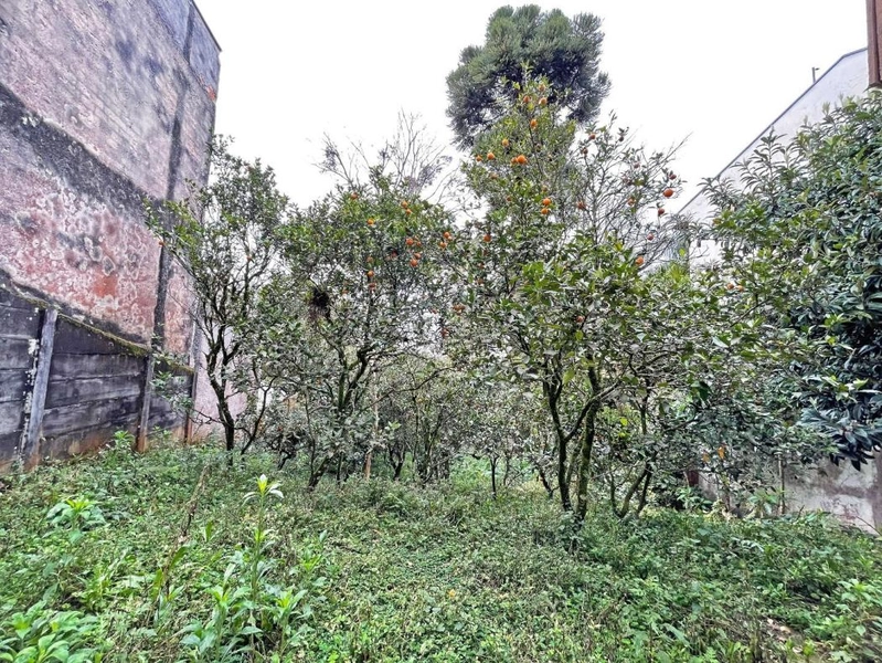 null: 4ª foto da galeria de imagens do imóvel