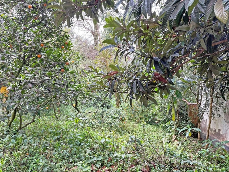 null: 5ª foto da galeria de imagens do imóvel