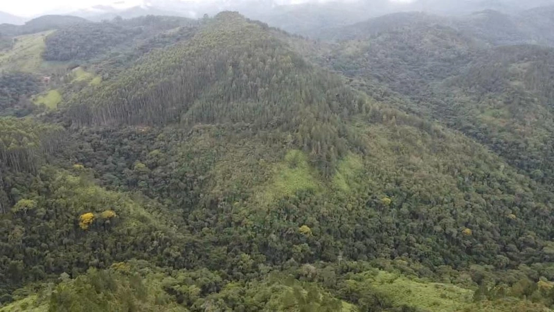 null: 10ª foto da galeria de imagens do imóvel