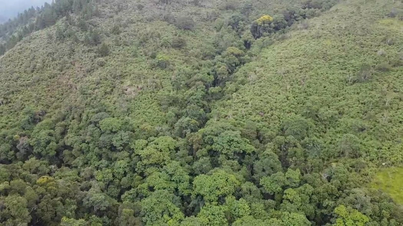 null: 12ª foto da galeria de imagens do imóvel