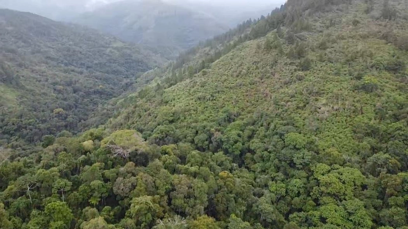 null: 16ª foto da galeria de imagens do imóvel