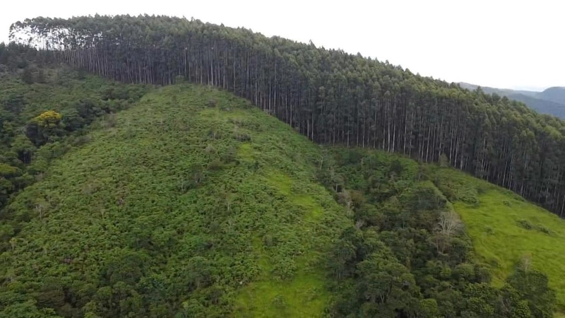 null: 17ª foto da galeria de imagens do imóvel