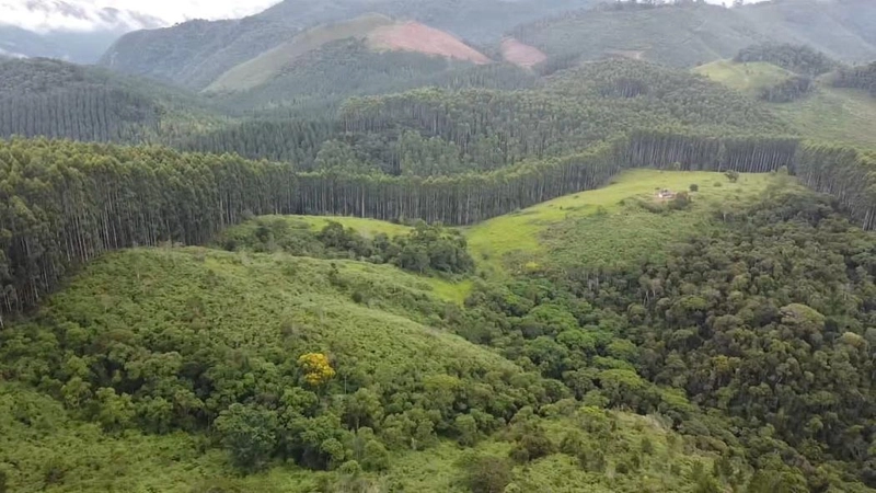 null: 2ª foto da galeria de imagens do imóvel