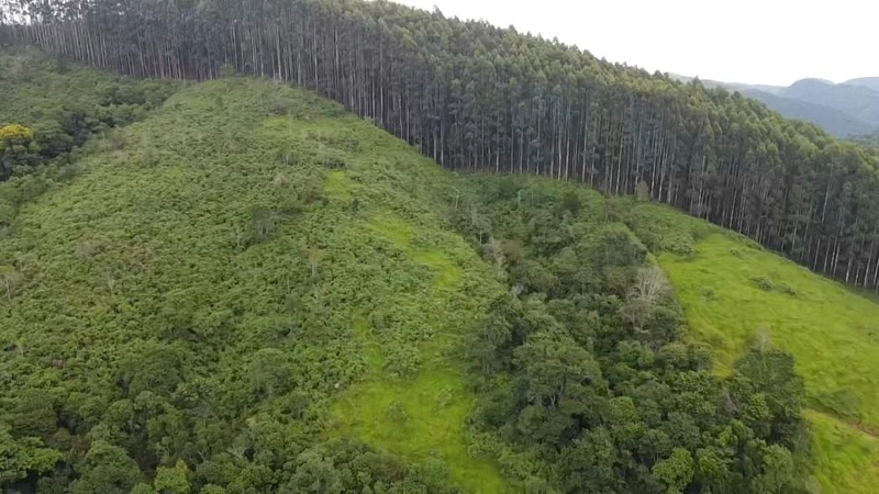 null: 21ª foto da galeria de imagens do imóvel