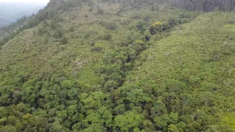 null: 23ª foto da galeria de imagens do imóvel