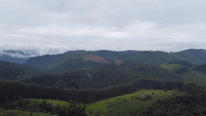 null: 25ª foto da galeria de imagens do imóvel