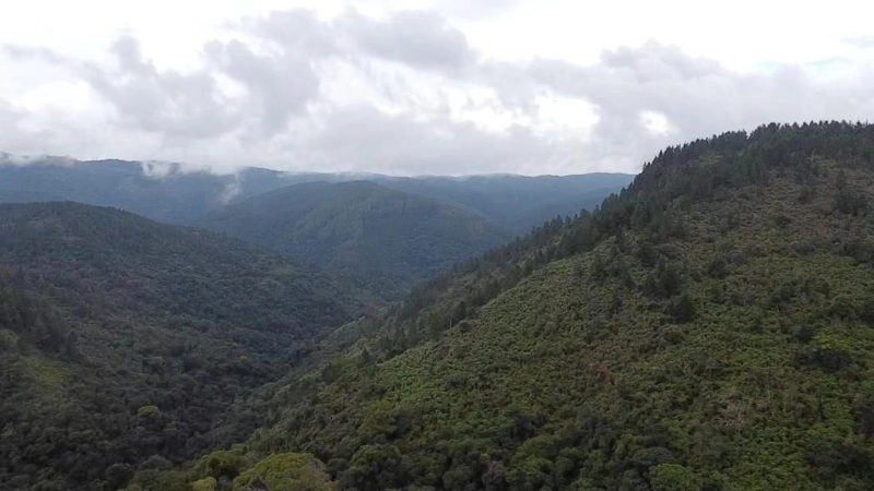 null: 28ª foto da galeria de imagens do imóvel