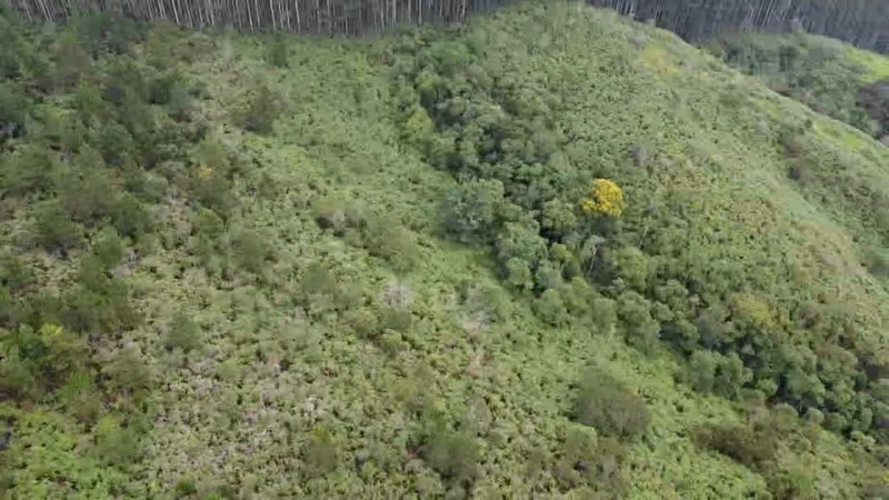 null: 9ª foto da galeria de imagens do imóvel