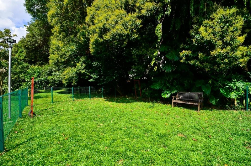 null: 40ª foto da galeria de imagens do imóvel