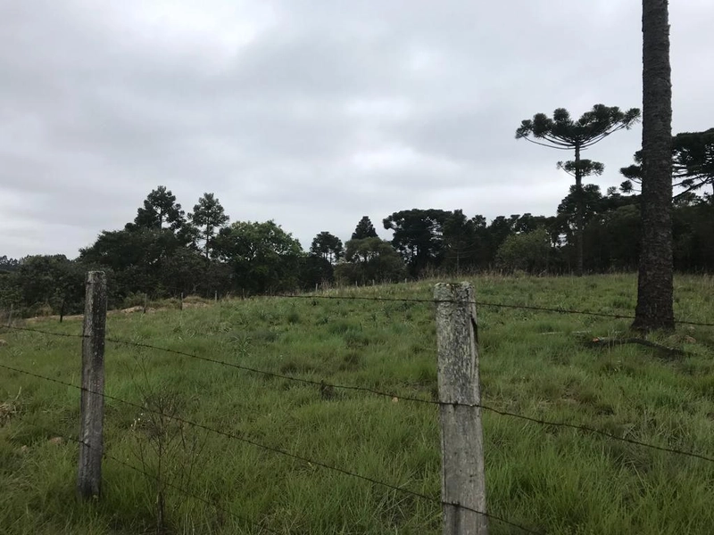 null: 2ª foto da galeria de imagens do imóvel