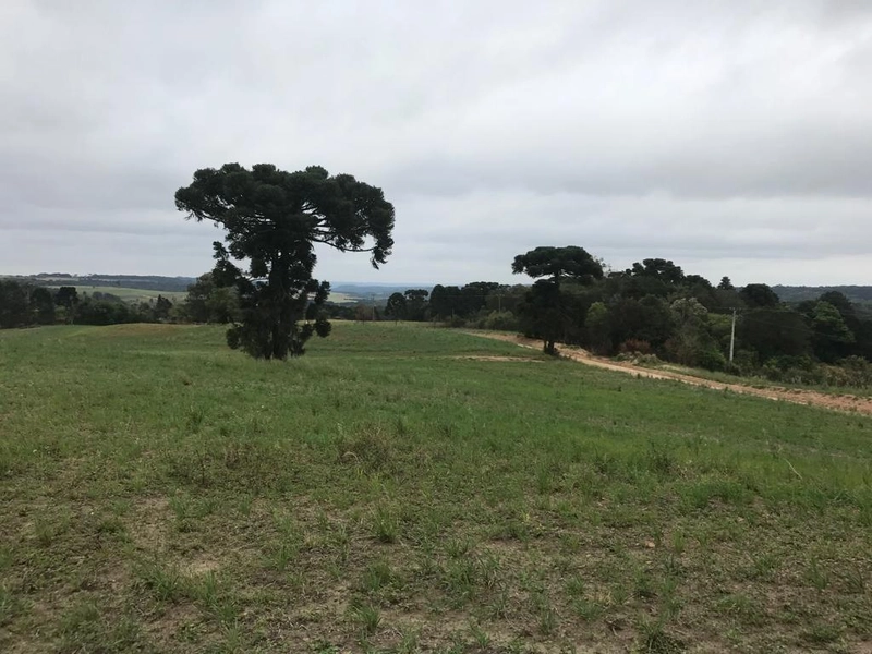 null: 3ª foto da galeria de imagens do imóvel