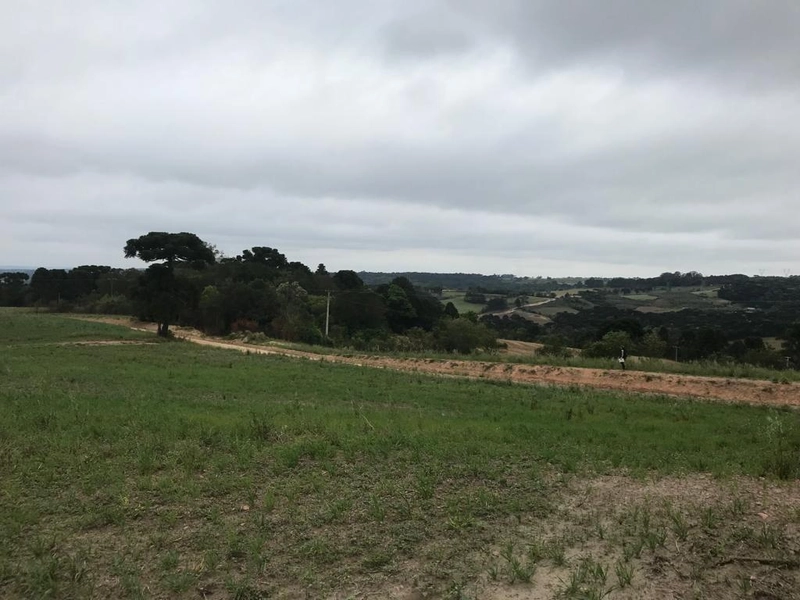 null: 4ª foto da galeria de imagens do imóvel