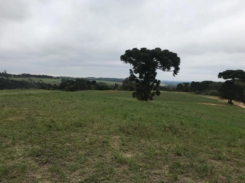 null: 6ª foto da galeria de imagens do imóvel