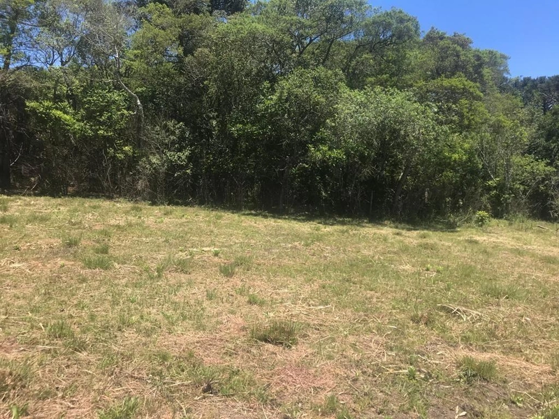 null: 8ª foto da galeria de imagens do imóvel