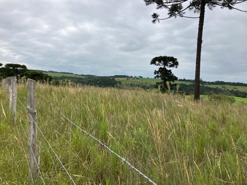 null: 9ª foto da galeria de imagens do imóvel