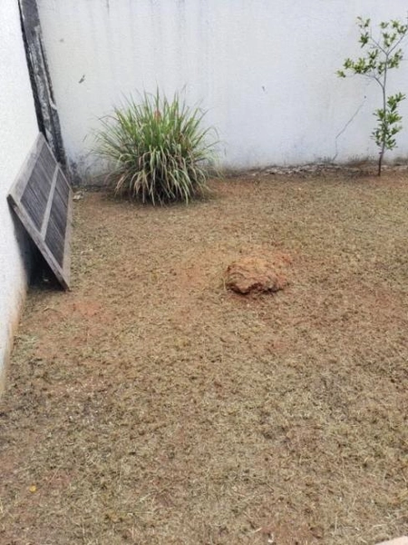 null: 4ª foto da galeria de imagens do imóvel