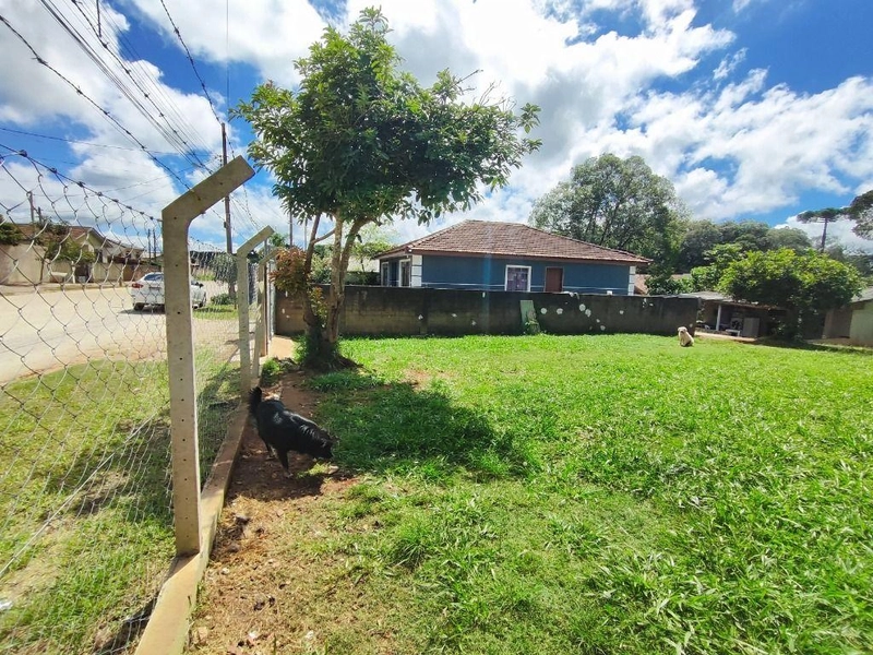 null: 5ª foto da galeria de imagens do imóvel