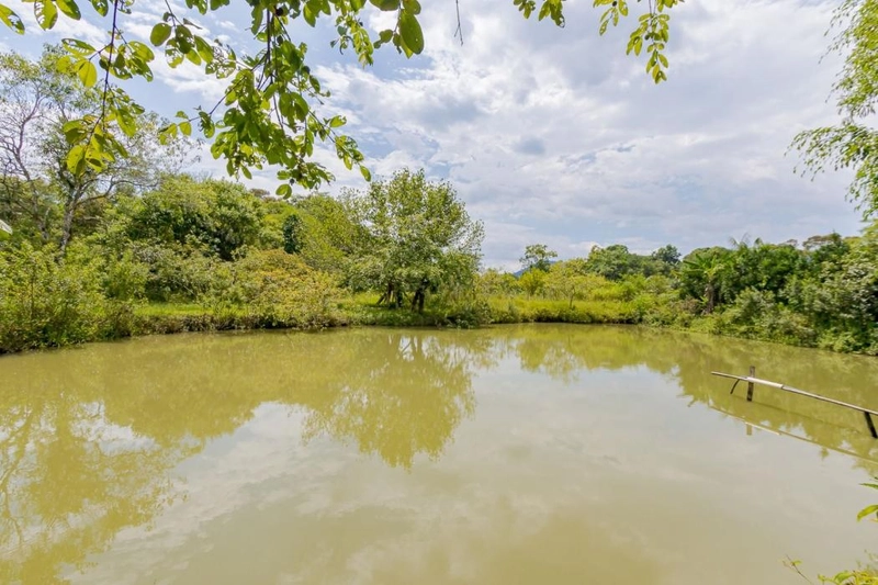 null: 4ª foto da galeria de imagens do imóvel