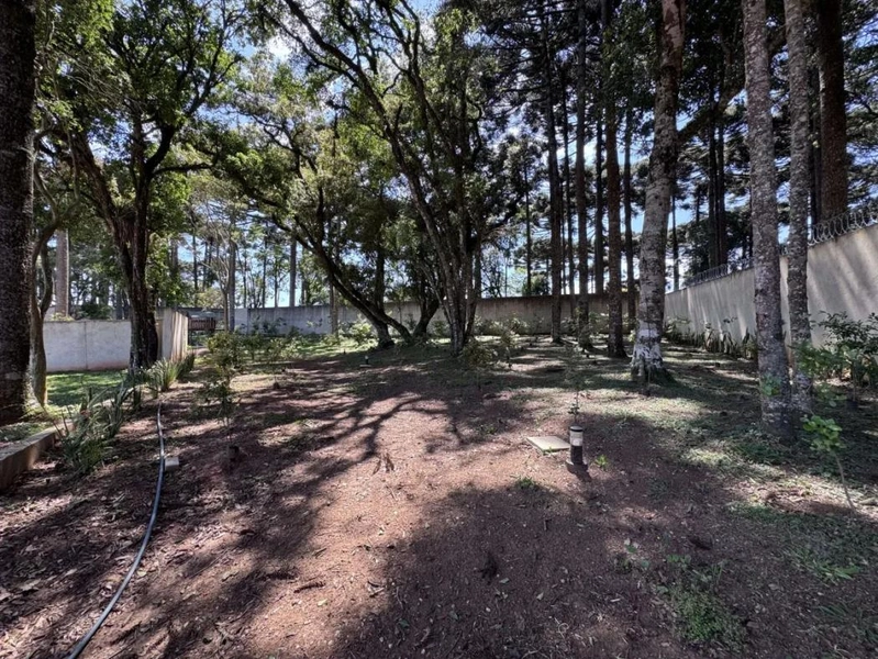 null: 11ª foto da galeria de imagens do imóvel