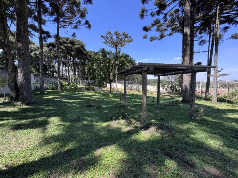 null: 13ª foto da galeria de imagens do imóvel