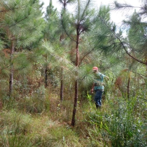 null: 8ª foto da galeria de imagens do imóvel