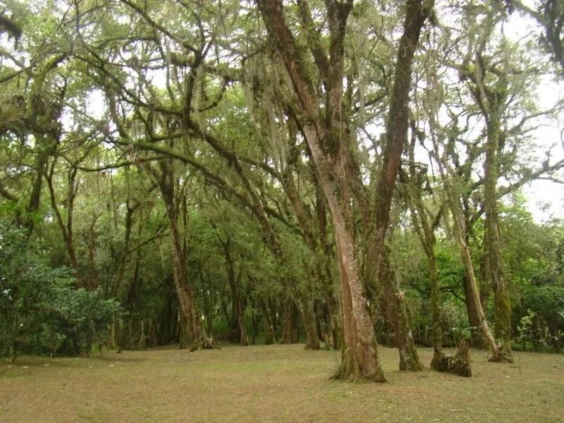 null: 11ª foto da galeria de imagens do imóvel