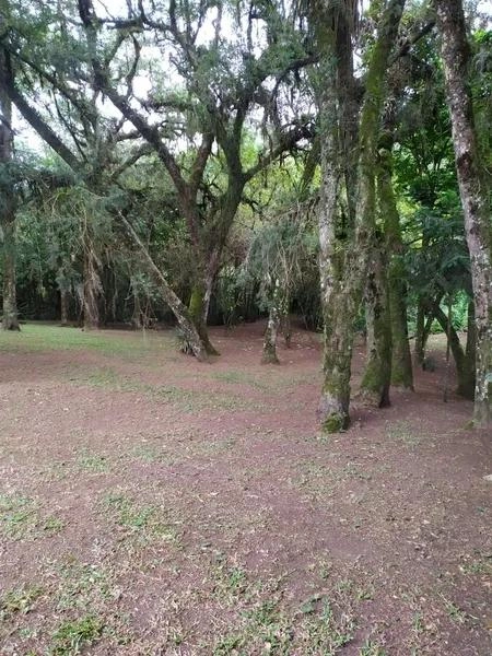 null: 24ª foto da galeria de imagens do imóvel