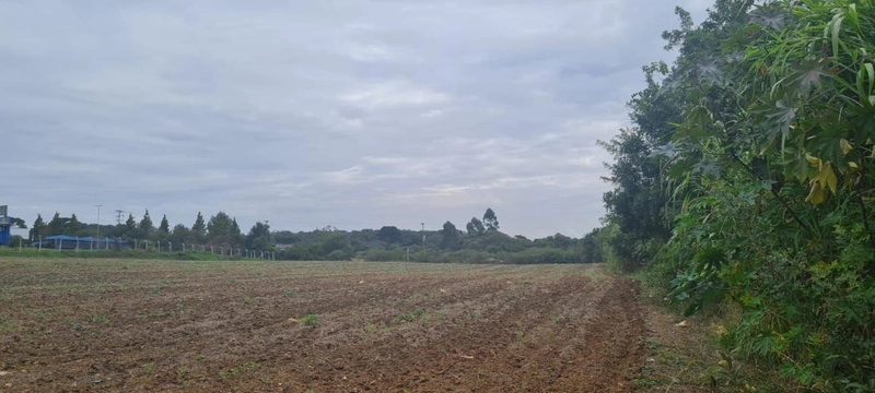 null: 15ª foto da galeria de imagens do imóvel