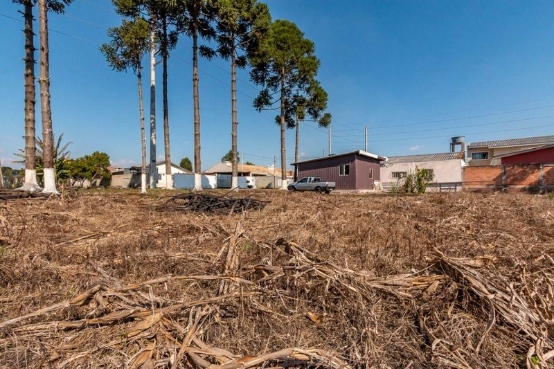 null: 10ª foto da galeria de imagens do imóvel