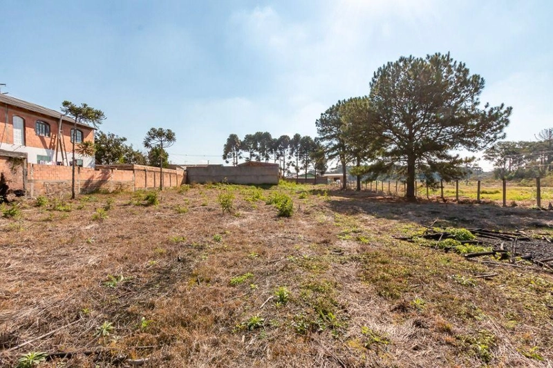 null: 13ª foto da galeria de imagens do imóvel