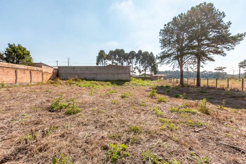 null: 14ª foto da galeria de imagens do imóvel