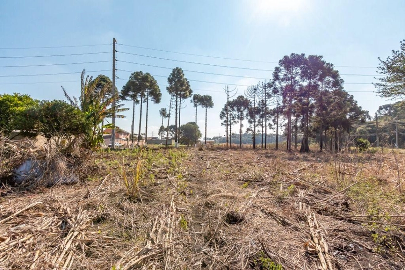 null: 6ª foto da galeria de imagens do imóvel