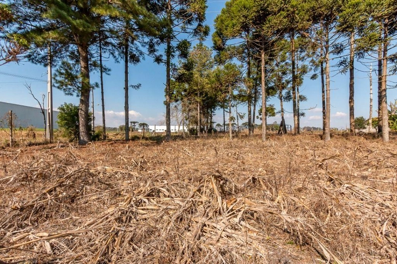 null: 9ª foto da galeria de imagens do imóvel