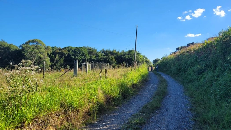 null: 17ª foto da galeria de imagens do imóvel