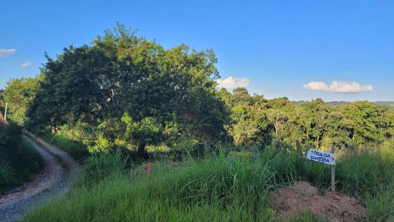 null: 21ª foto da galeria de imagens do imóvel