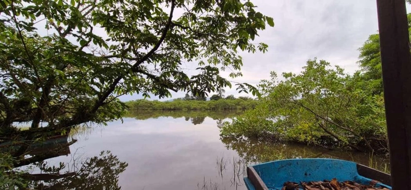 null: 6ª foto da galeria de imagens do imóvel