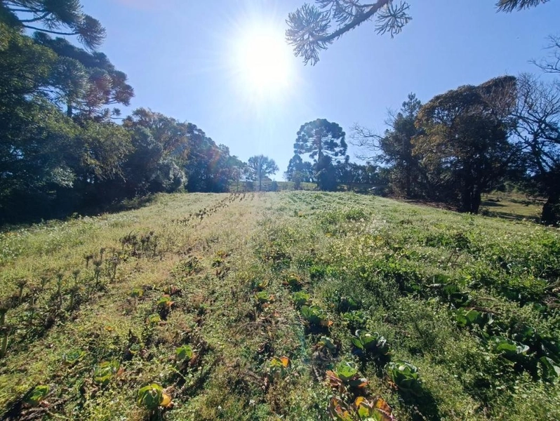 null: 10ª foto da galeria de imagens do imóvel