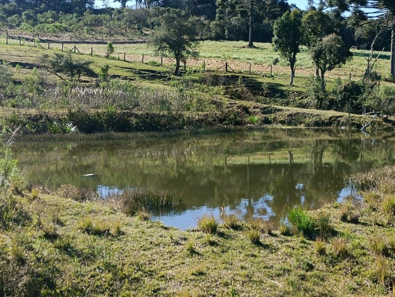 null: 13ª foto da galeria de imagens do imóvel