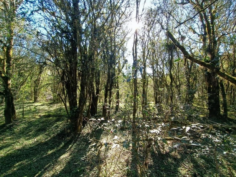 null: 14ª foto da galeria de imagens do imóvel