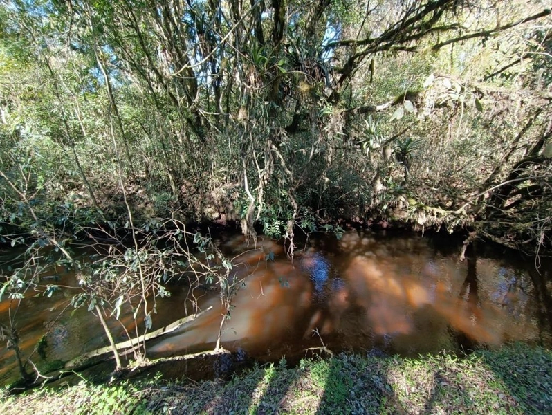 null: 16ª foto da galeria de imagens do imóvel