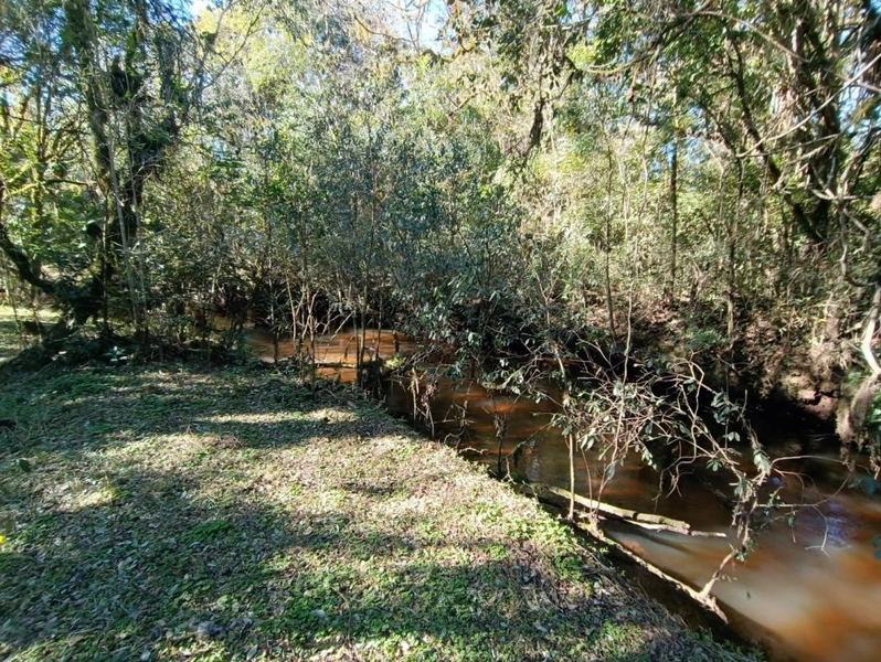 null: 17ª foto da galeria de imagens do imóvel