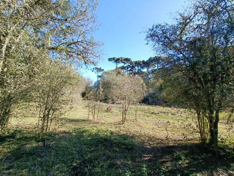 null: 23ª foto da galeria de imagens do imóvel